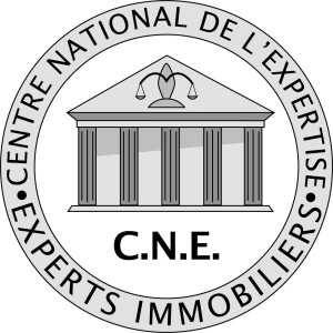 logo-CNE fond blanc